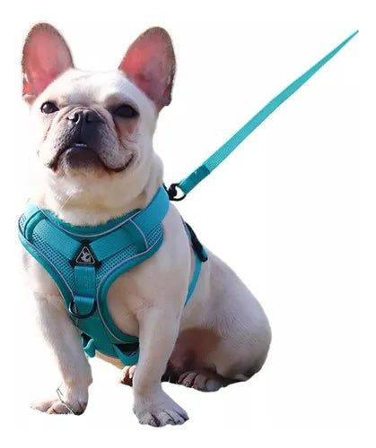 Arnes Pretal Para Perro Y Gato Con Correa 1.5 M Anti Tirones