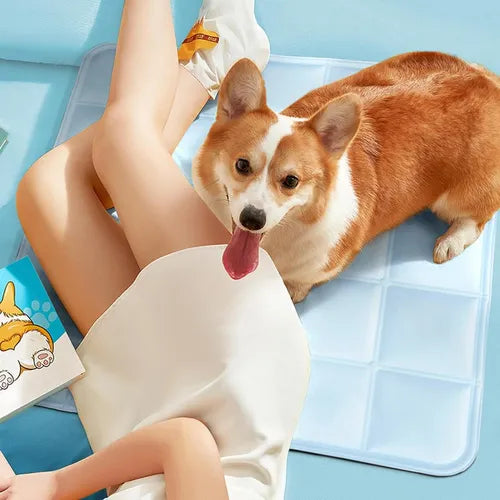 Alfombra Refrescante Mascotas 45 X 45 Cm Refrigerante Perro