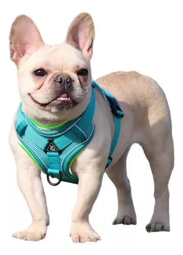 Arnes Pretal Para Perro Y Gato Con Correa 1.5 M Anti Tirones